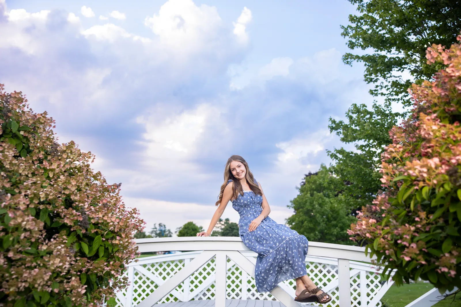 Maine senior portrait in a summer field — Studio44 North